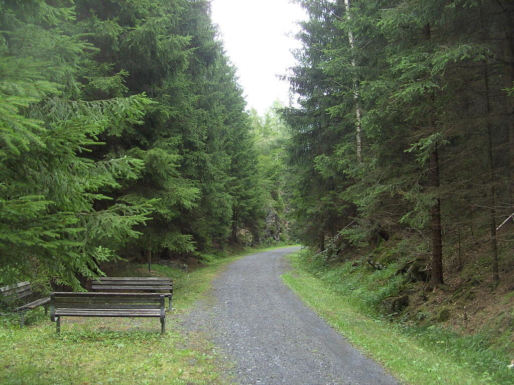 Hotel Buchberg Schönsee Exteriör bild